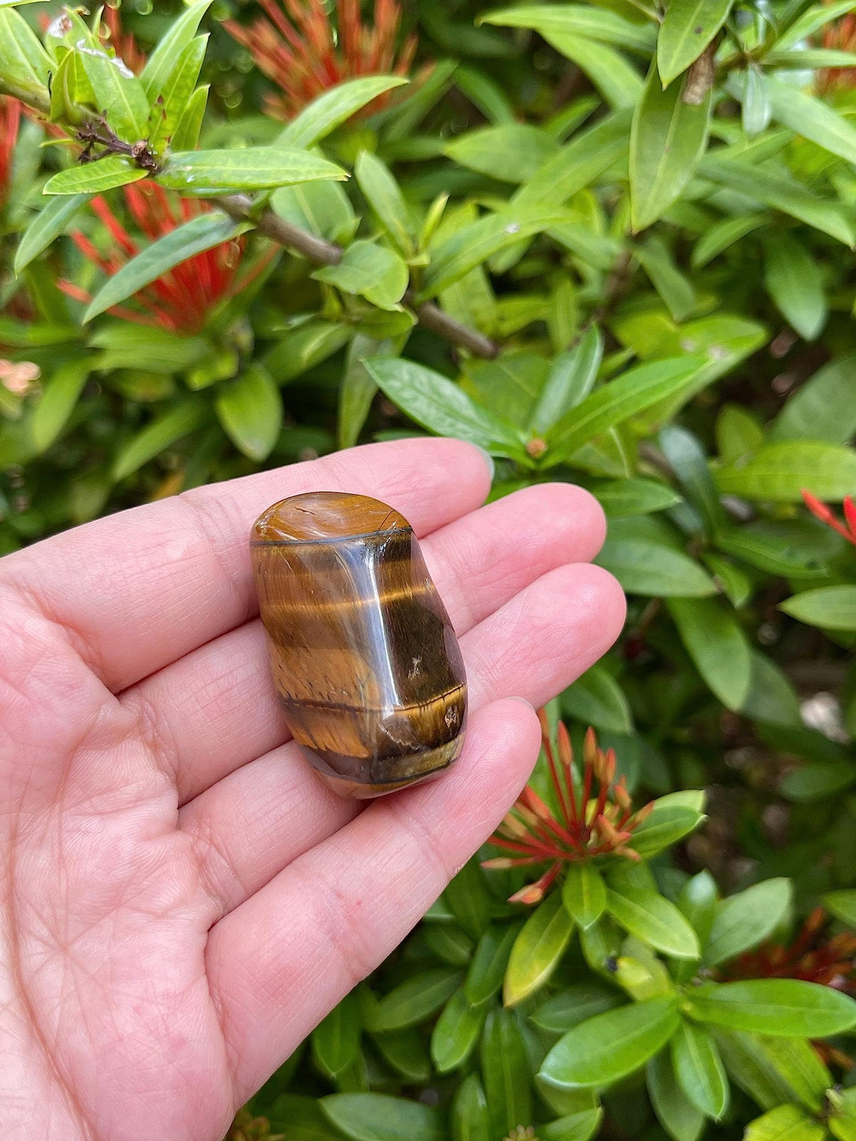 GAF TREASURES Wholesale Tiger Eye Tumbled Stones, Polished Natural Tiger Eye Gemstone, Tiger Eye Polished Rocks (Tiger Eye, 0.25 Pound)