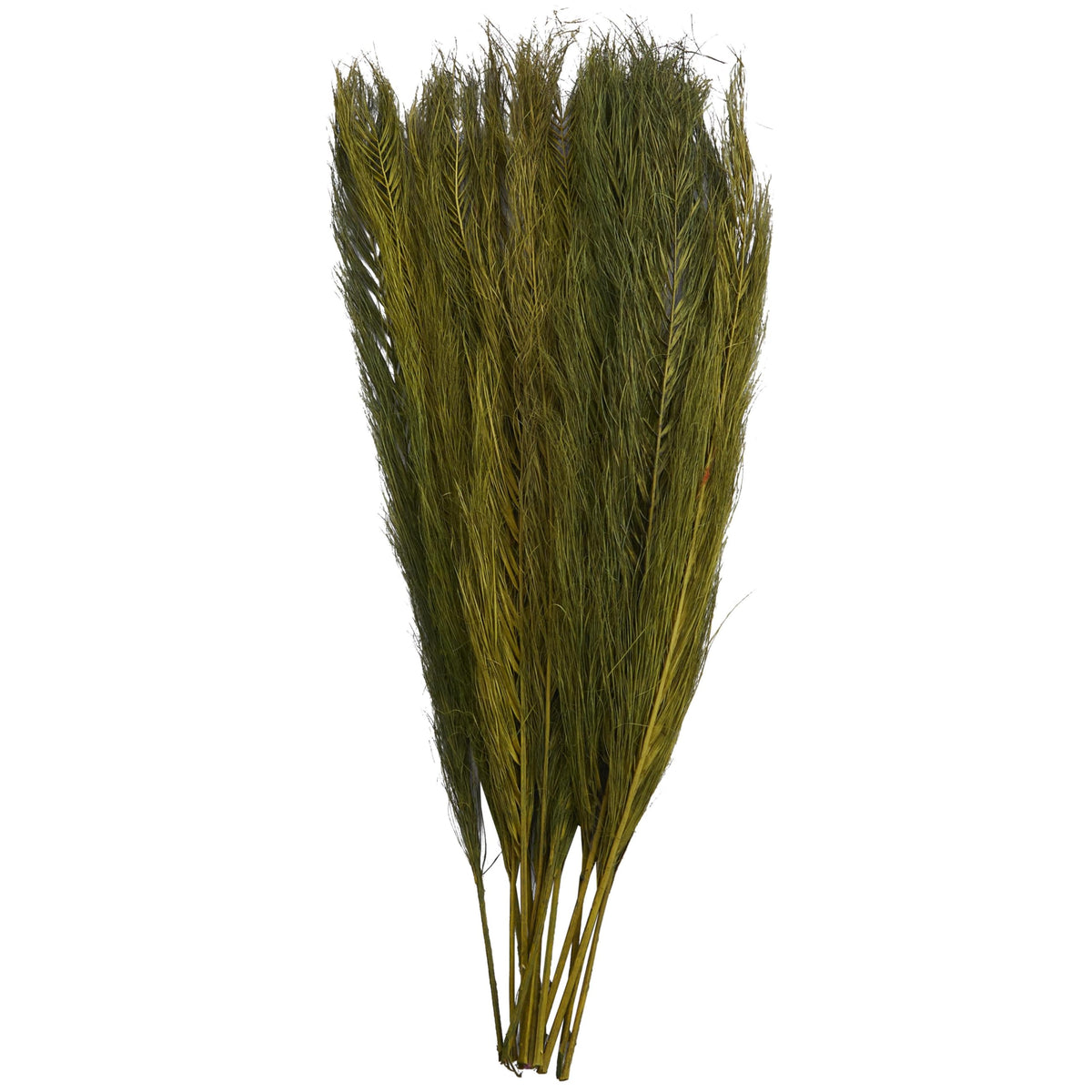 Deco 79 Dried Plant Leaves Home Decor Natural Foliage Natural Dried Foliage with Feather Inspired Stems, Foliage for Decoration 4" x 1" x 35", Green