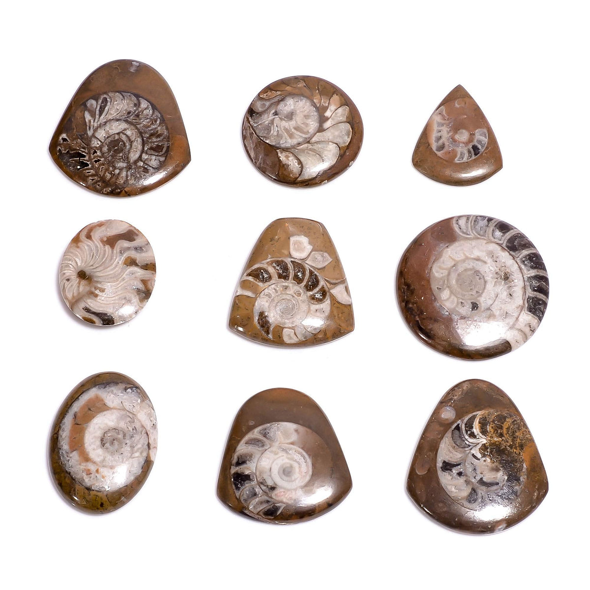 GEMKORA™ 3pcs Natural Ammonite Brown Gemstone Cabochon for Jewelry Making, Loose Gemstone Wholesale Lot, DIY, Wire Wrapping, Healing Crystals, Bulk Crystals Deal