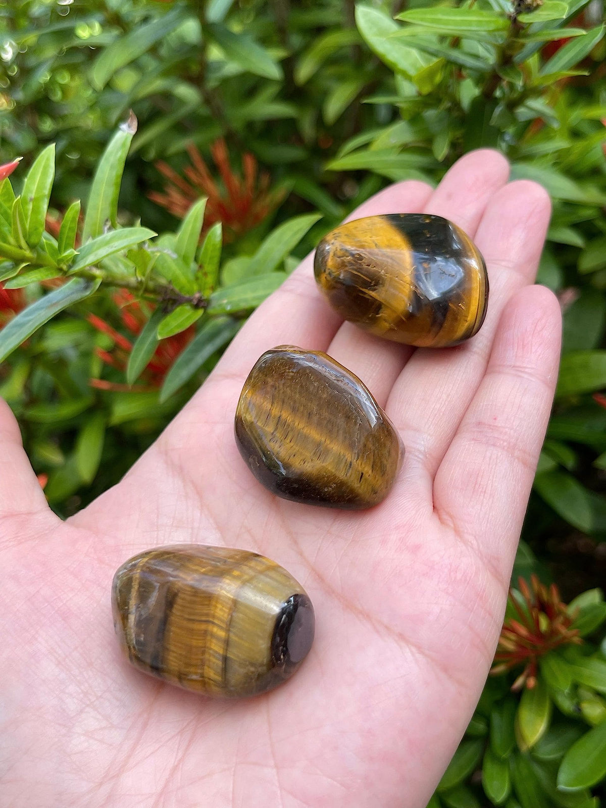 GAF TREASURES Wholesale Tiger Eye Tumbled Stones, Polished Natural Tiger Eye Gemstone, Tiger Eye Polished Rocks (Tiger Eye, 0.25 Pound)