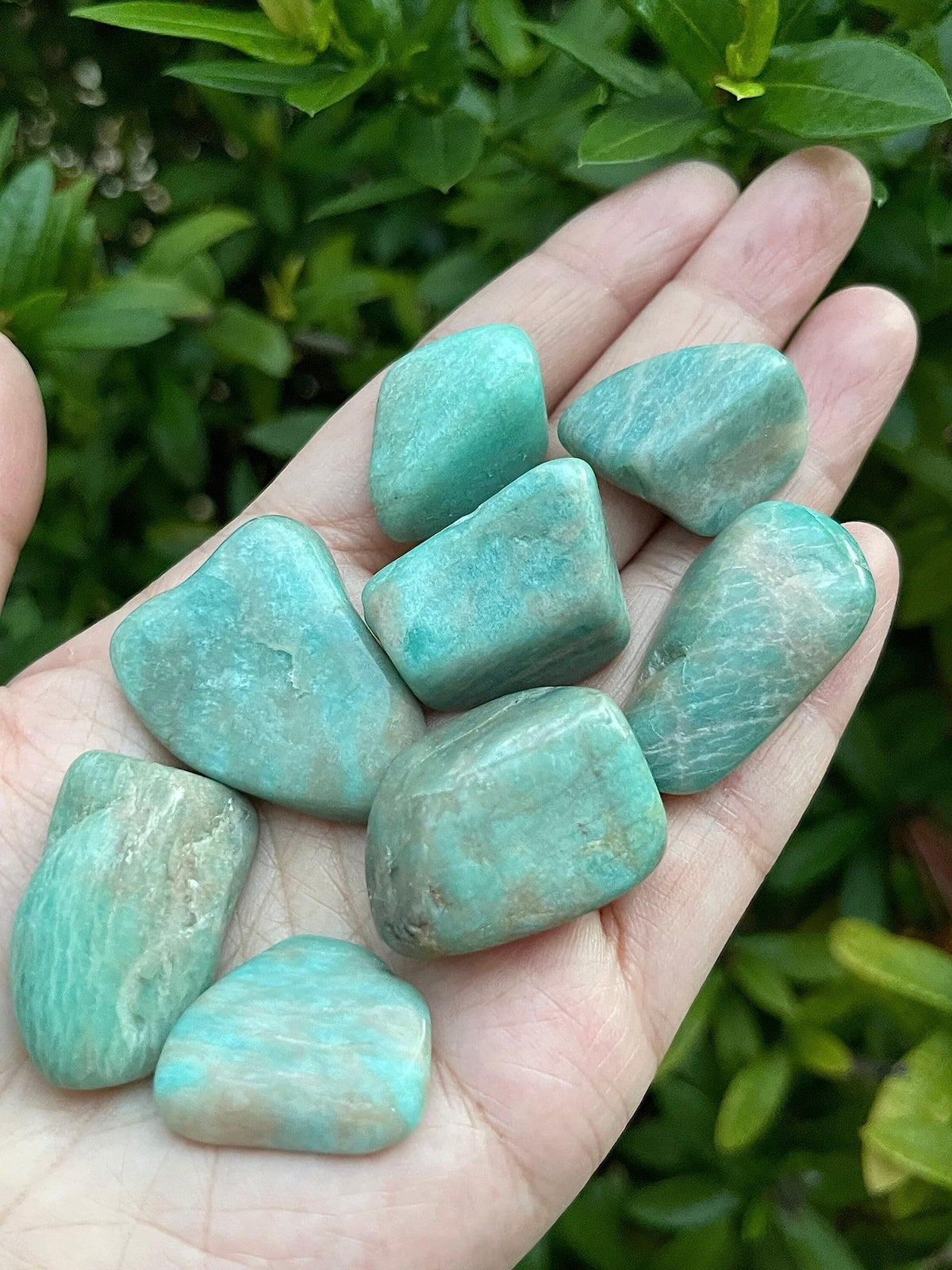 WHOLESALE Amazonite Tumbled Stones, Polished Amazonite Gemstone, Amazonite Polished Rocks (Amazonite, 0.25 Pound)