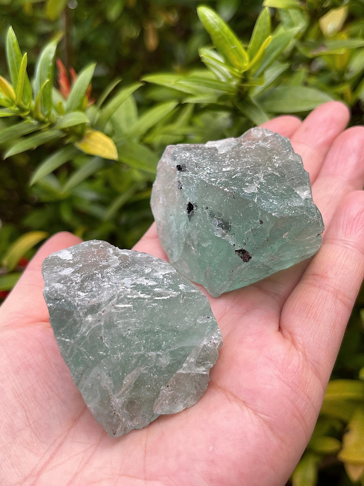 WHOLESALE Raw Green Fluorite Crystals, Natural Green Fluorite Stone, Natural Rough Green Fluorite crystals, Green Fluorite Rough, Green Fluorite Healing Crystals (Green Fluorite, 0.5 Pound)