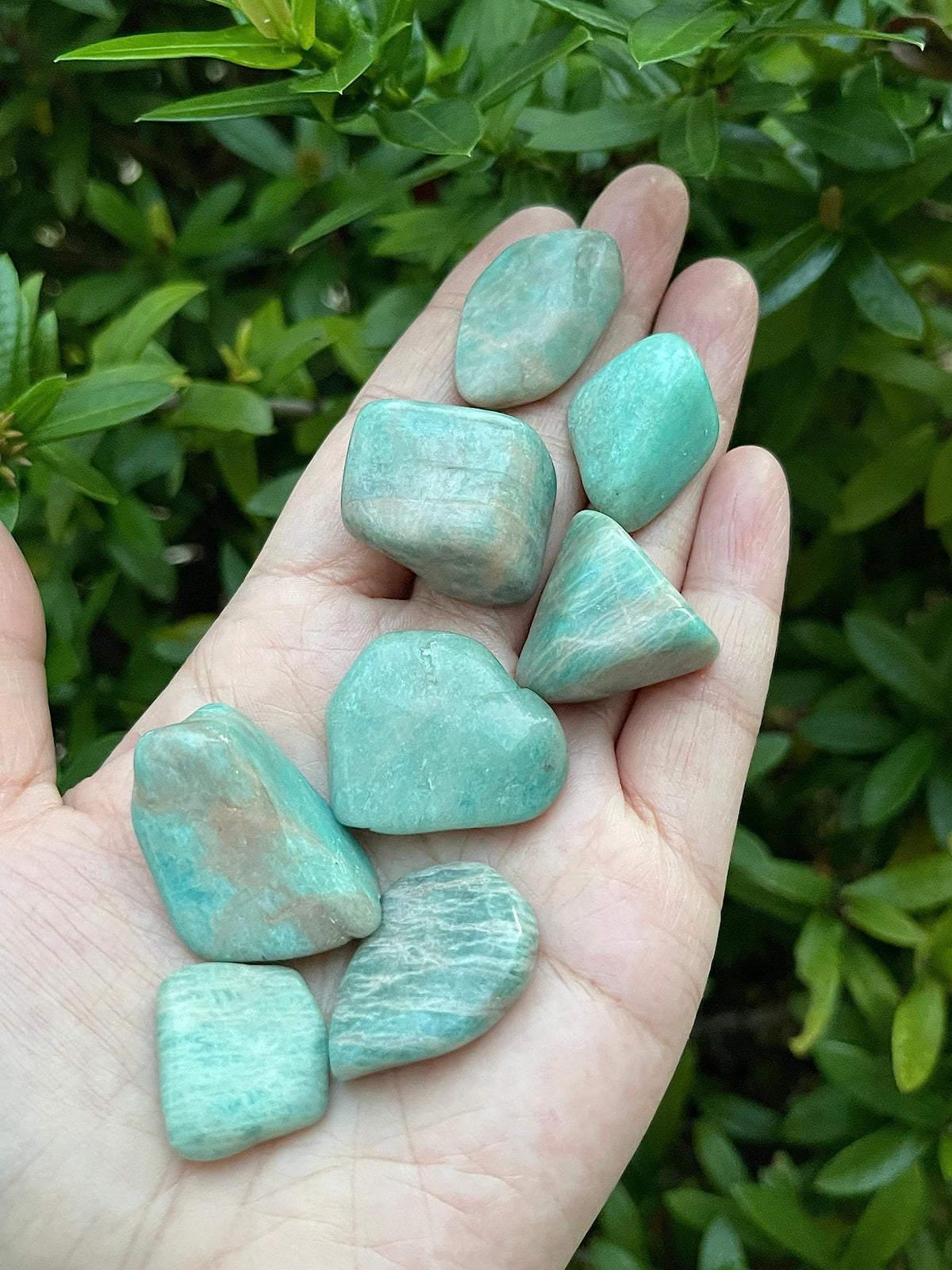 WHOLESALE Amazonite Tumbled Stones, Polished Amazonite Gemstone, Amazonite Polished Rocks (Amazonite, 0.25 Pound)
