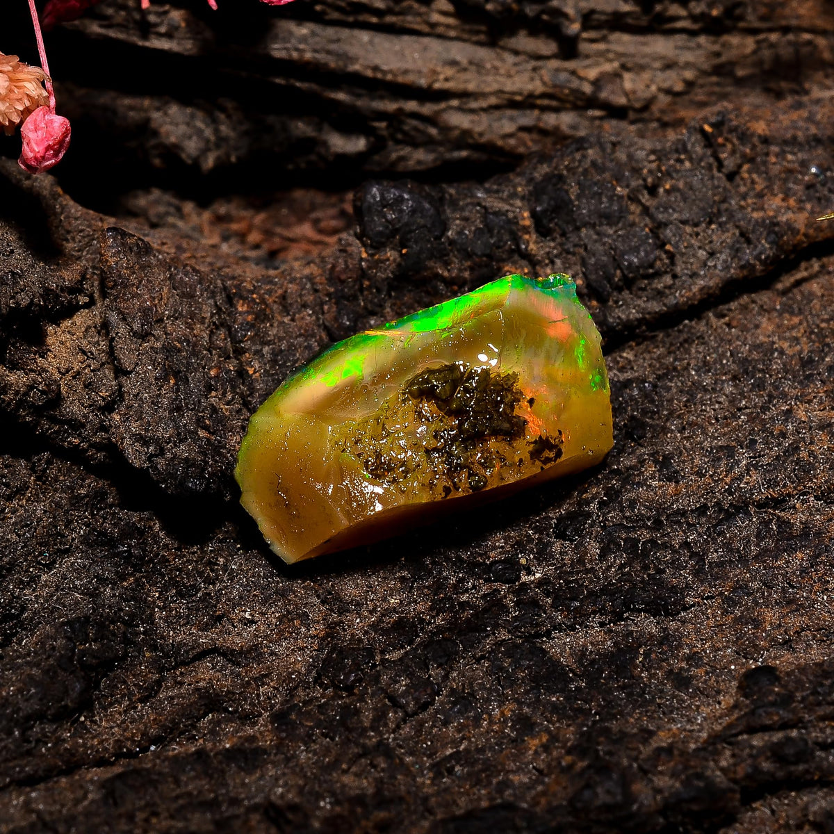 AAAA+ Natural Ethiopian Welo Opal Rough Stone – Ultra Fire Striking Raw Crystal | Handpicked Opal Rock for Jewelry Making | October Birthstone Gemstone (3.2 Carat)