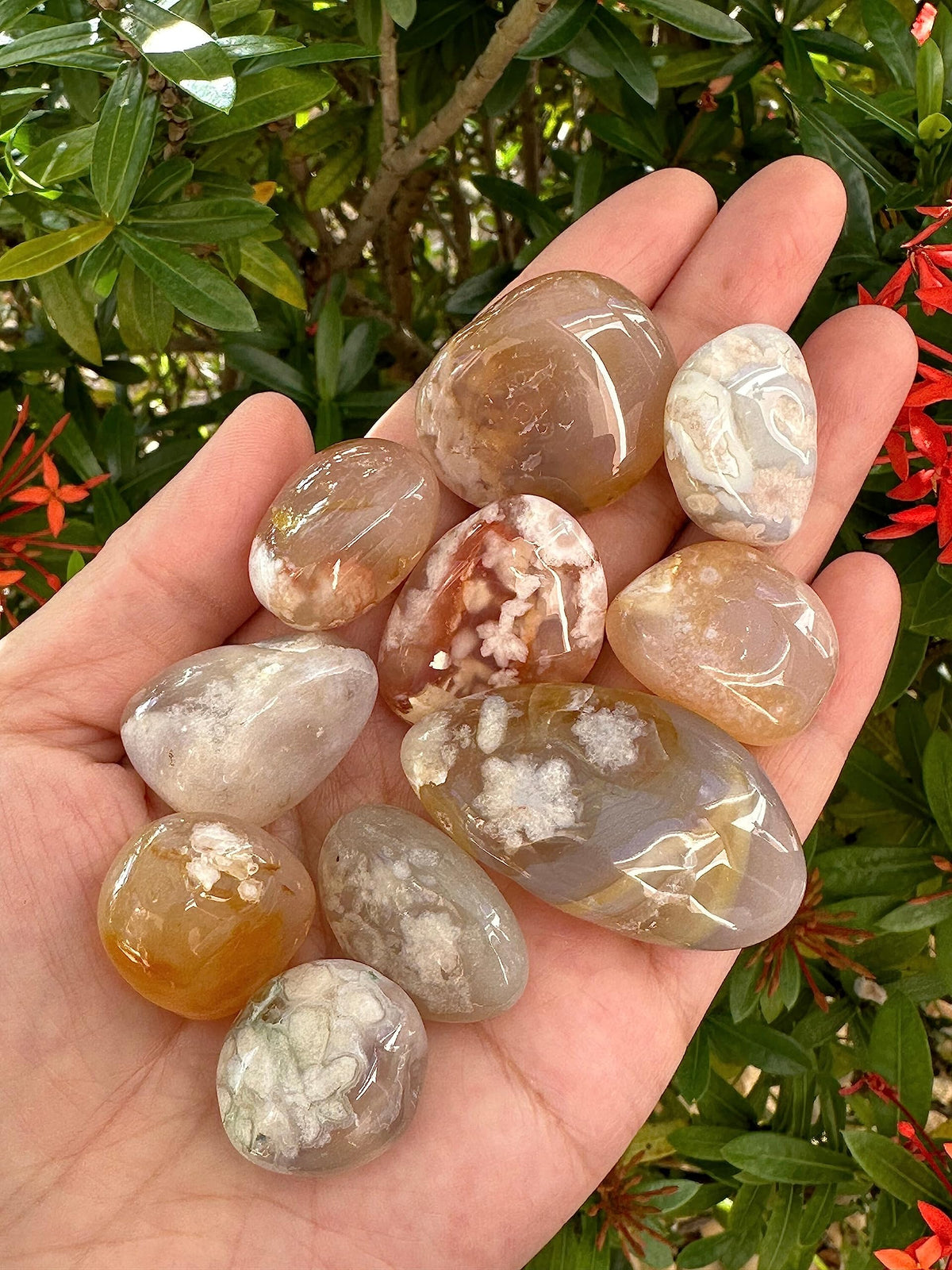 Wholesale Polished Flower Agate Tumbled Stones (0.25 Pound)