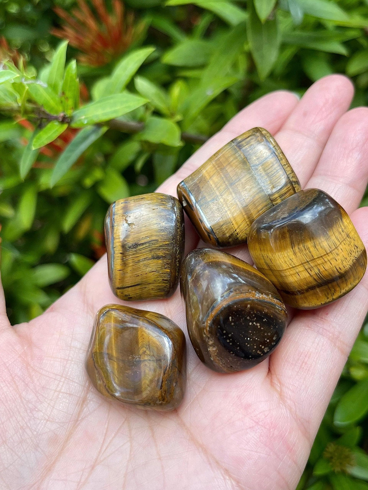 GAF TREASURES Wholesale Tiger Eye Tumbled Stones, Polished Natural Tiger Eye Gemstone, Tiger Eye Polished Rocks (Tiger Eye, 0.25 Pound)