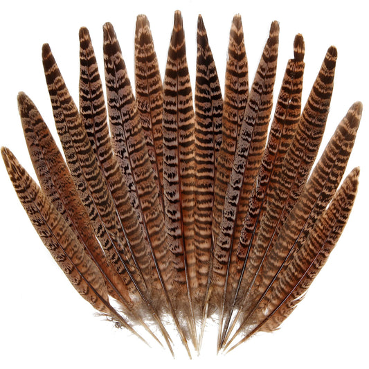 20pcs Female Pheasant Feather Natural Ringneck Tails Feathers 12-14inch 30-35cm for Crafts Home Wedding Party Performance DIY Decoration Pheasant Feather,Female Pheasant Feathers