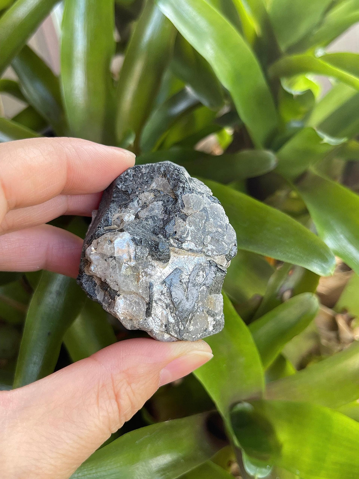 GAF TREASURES Wholesale Raw Black Tourmaline Crystals, Natural Black Tourmaline Stone, Black Tourmaline Rough, Healing Crystals (Black Tourmaline, 0.5 Pound)