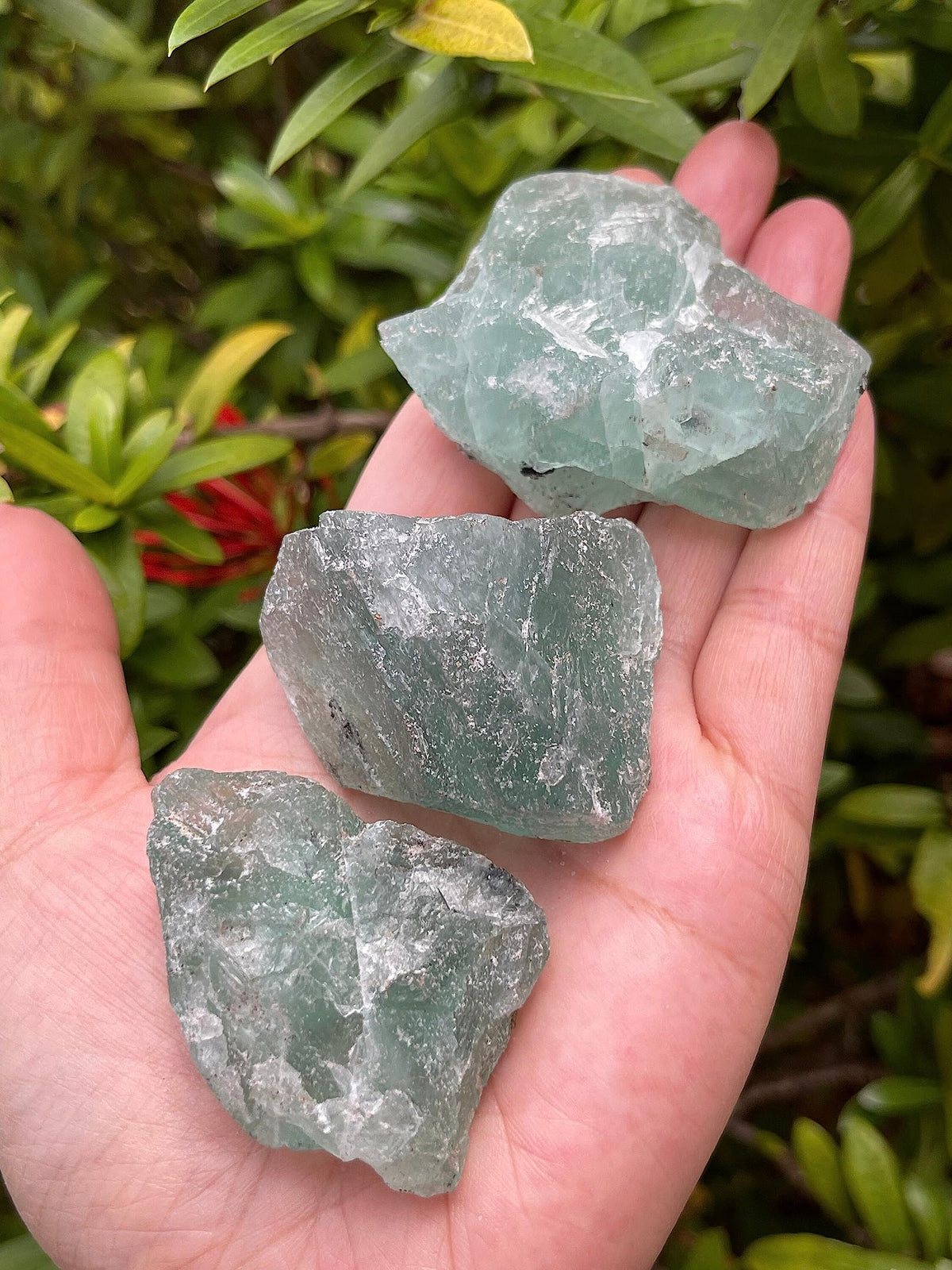 WHOLESALE Raw Green Fluorite Crystals, Natural Green Fluorite Stone, Natural Rough Green Fluorite crystals, Green Fluorite Rough, Green Fluorite Healing Crystals (Green Fluorite, 0.5 Pound)