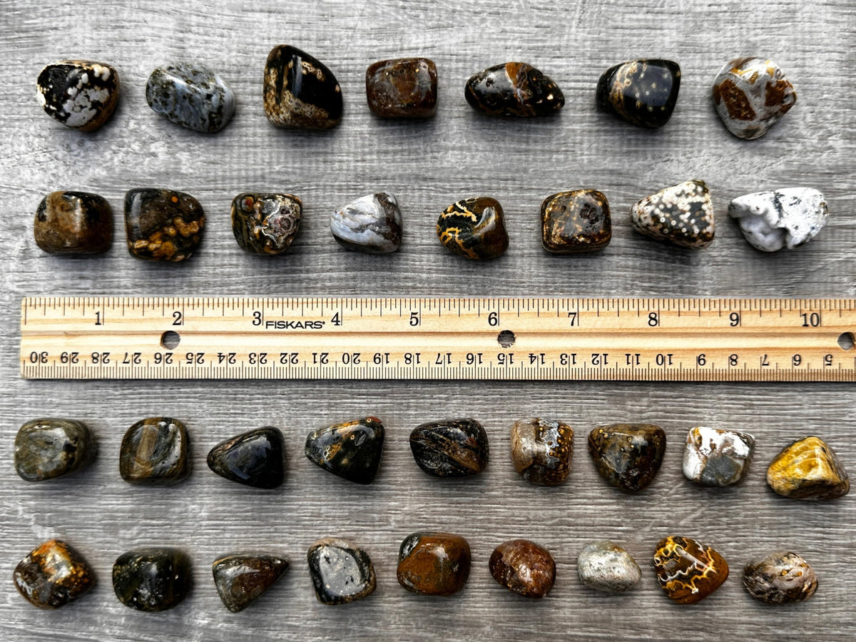 GAF TREASURES 5 Pcs Ocean Jasper Tumbled Stones, Polished Natural Sea Jasper Gemstone, Ocean Jasper Healing Crystals (Ocean Jasper)