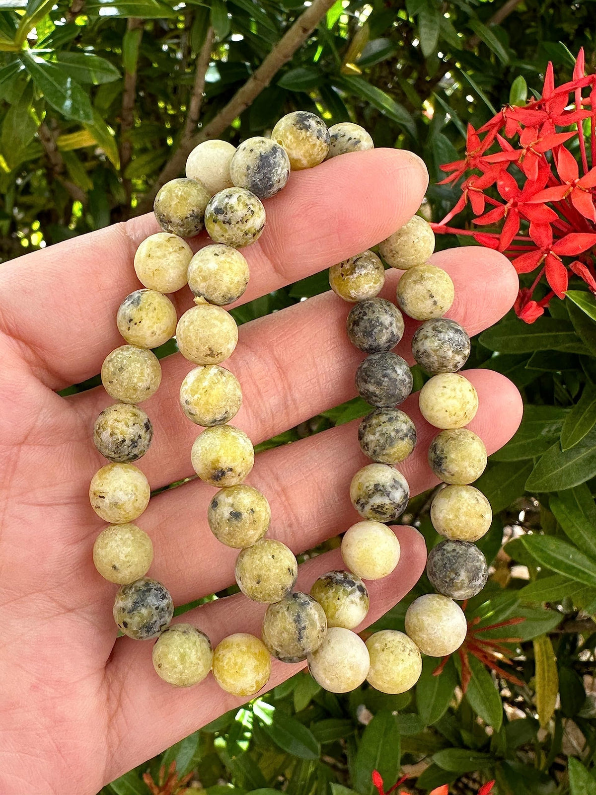 GAF TREASURES Yellow Turquoise Crystal Bead Bracelet 8mm, Genuine Yellow Turquoise Stretch Gemstone Bracelet, Healing Crystal Bracelet, Gift for Men & Women (1)
