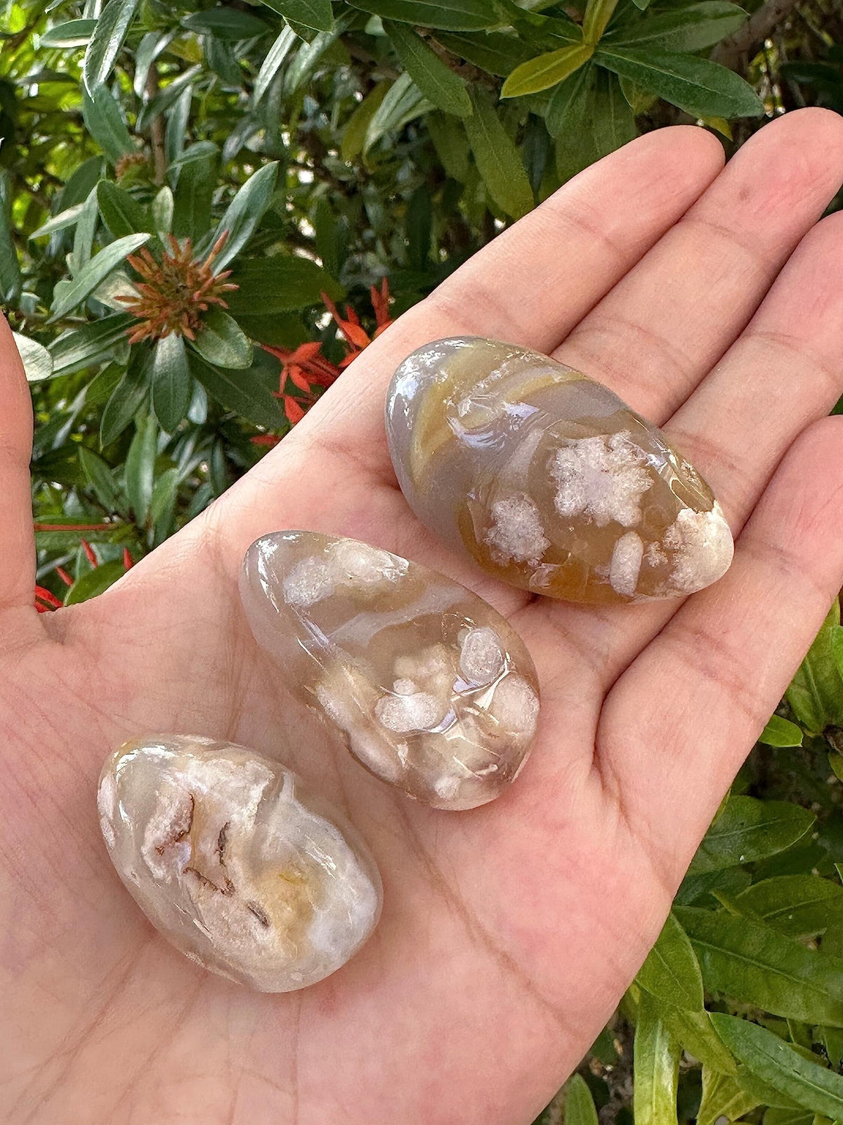 Wholesale Polished Flower Agate Tumbled Stones (0.25 Pound)