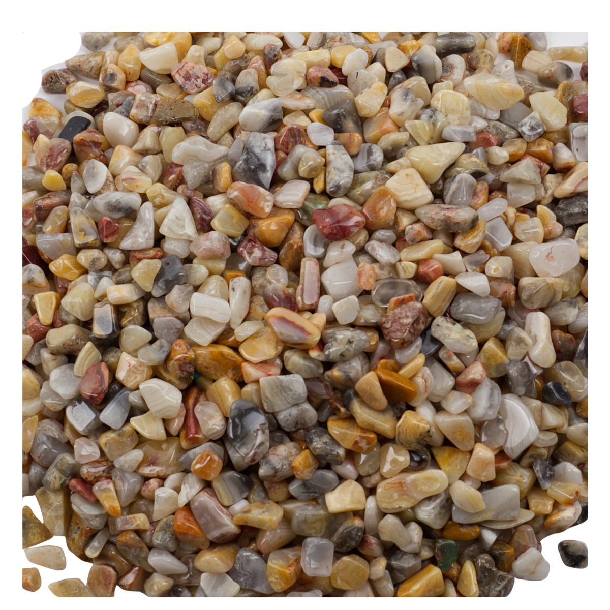 Cherry Tree Collection 1/2 Pound Polished Tumbled Gemstone Chips, Pebbles, Crystal Chips Bulk for Jewelry Making, Healing, Plants, Succulents, Aquariums, Decoration, Chakra (Crazy Lace Agate)