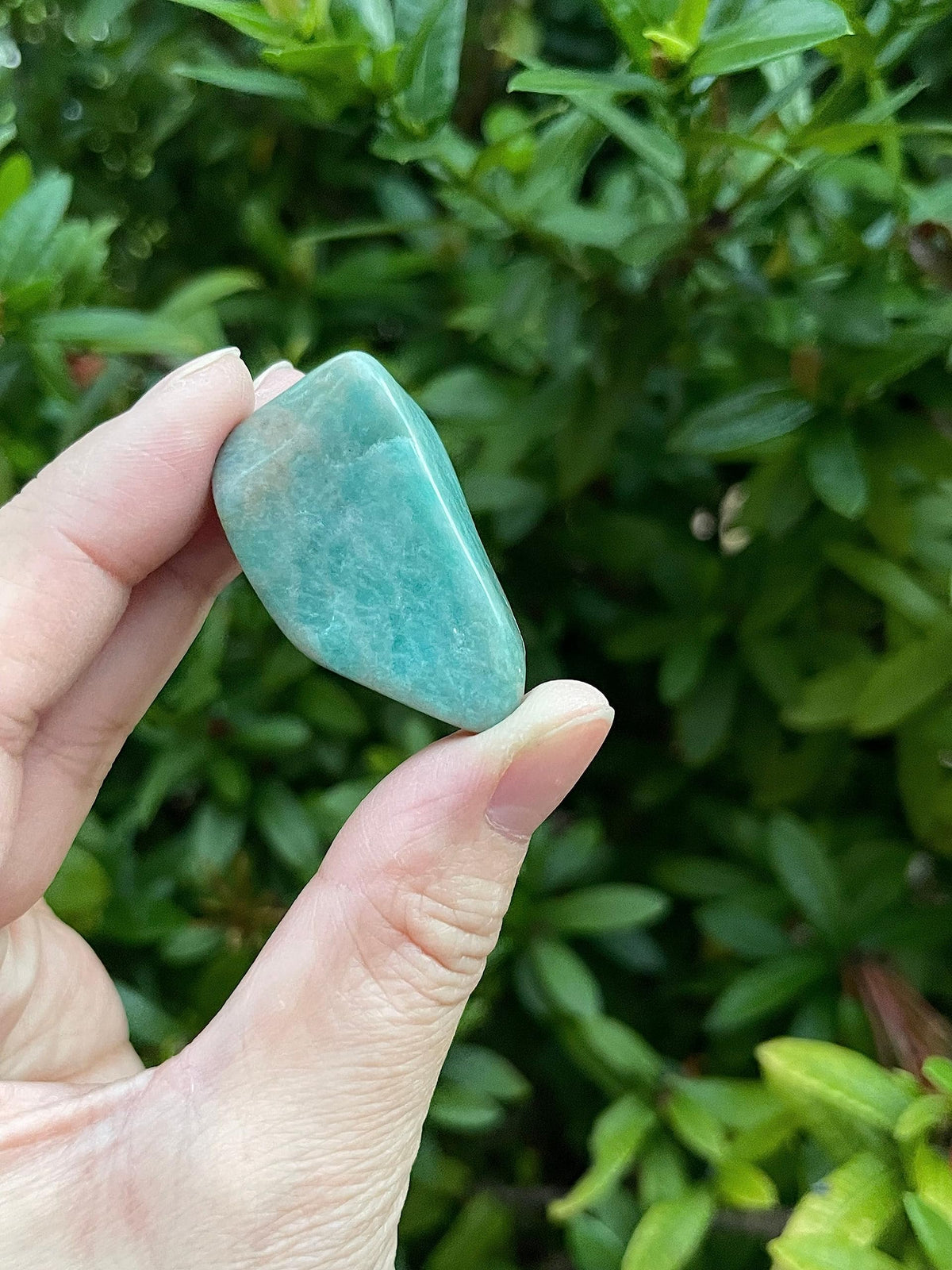 WHOLESALE Amazonite Tumbled Stones, Polished Amazonite Gemstone, Amazonite Polished Rocks (Amazonite, 0.25 Pound)