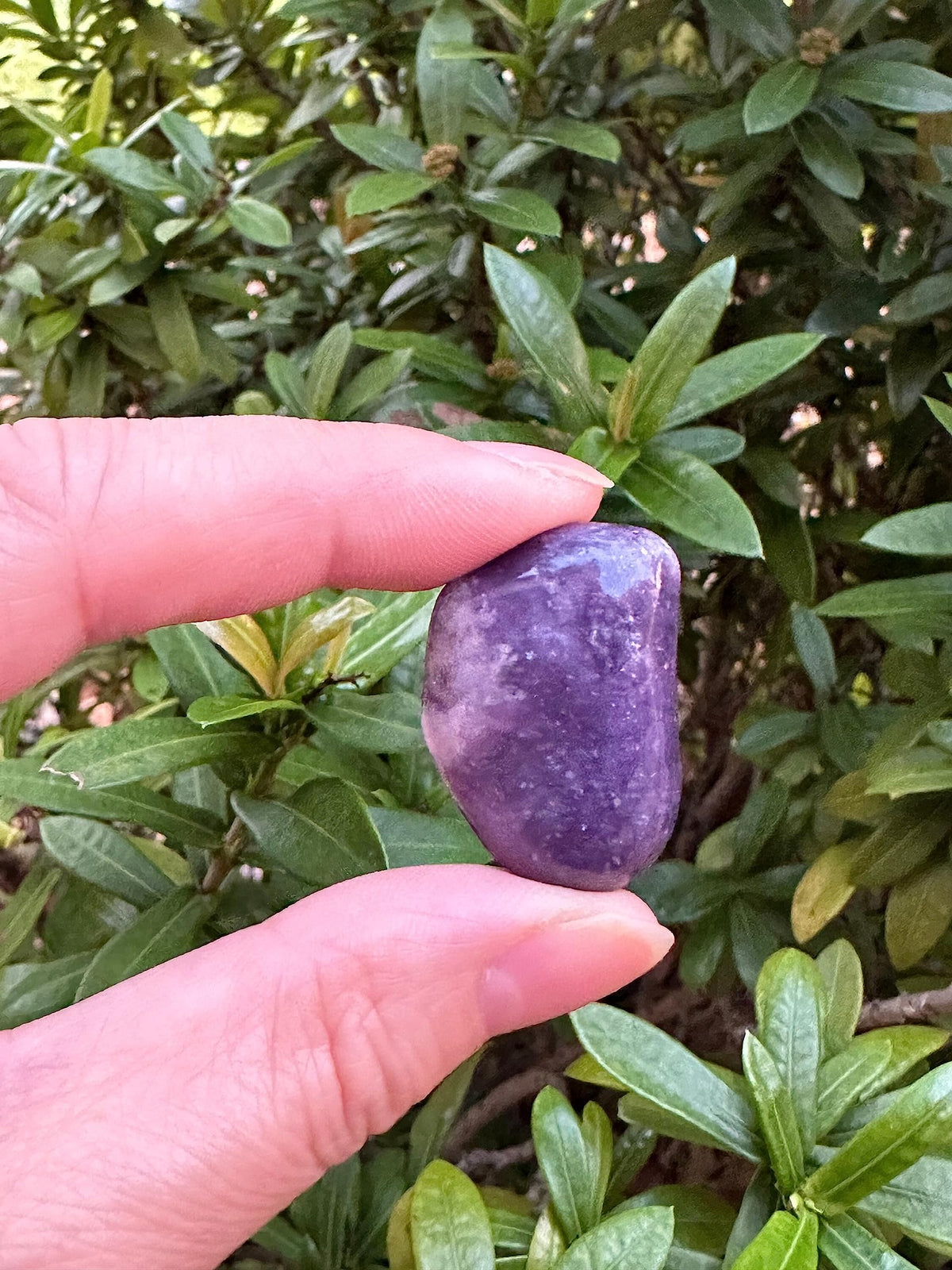 GAF TREASURES 5 Pcs Lepidolite Tumbled Stones, Polished Lepidolite Gemstone, Lepidolite Healing Crystals (Lepidolite)