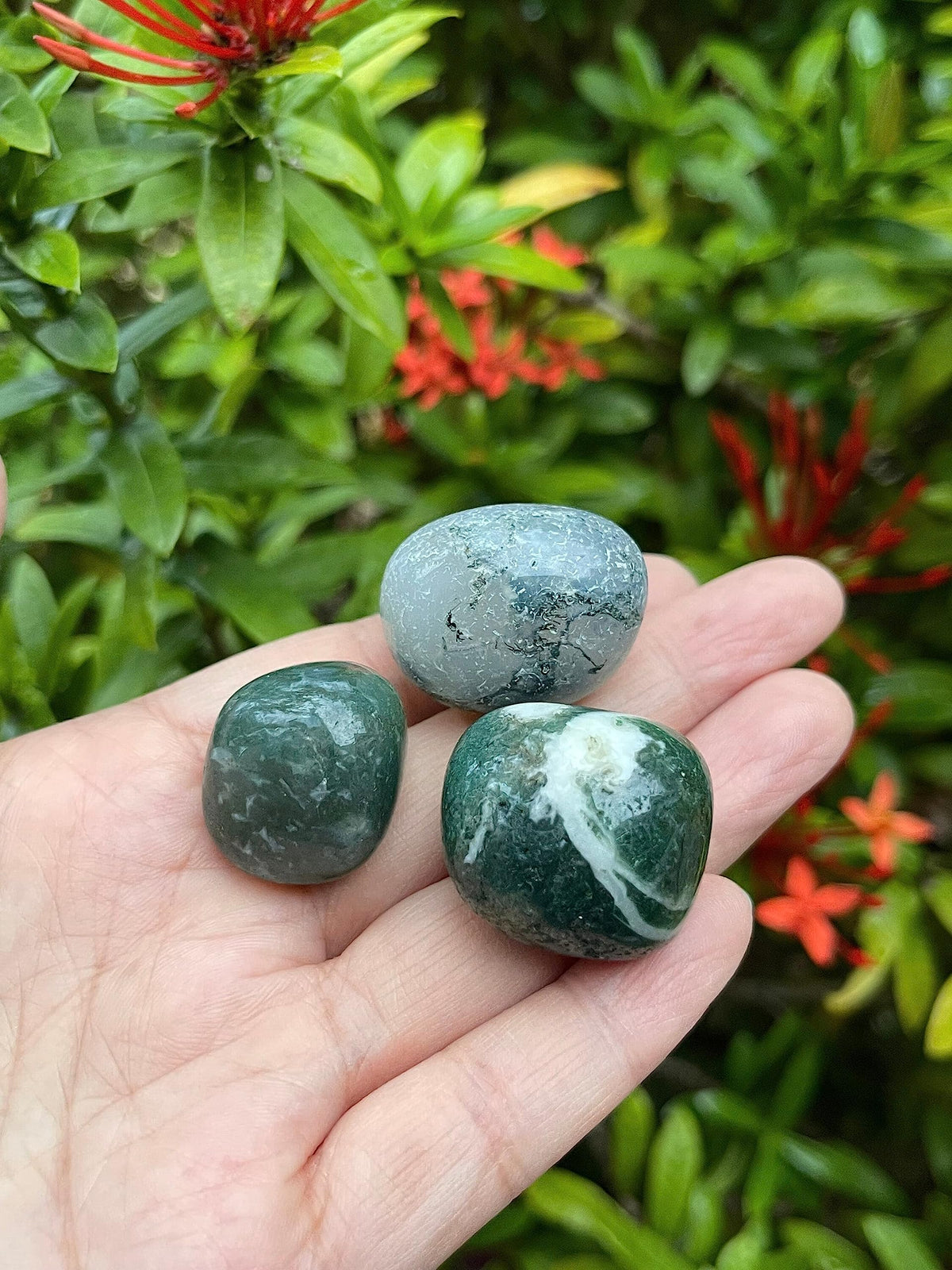 GAF TREASURES 5 Pcs Moss Agate Tumbled Stones, Polished Natural Moss Agate Gemstone, Moss Agate Healing Crystals (Moss Agate)