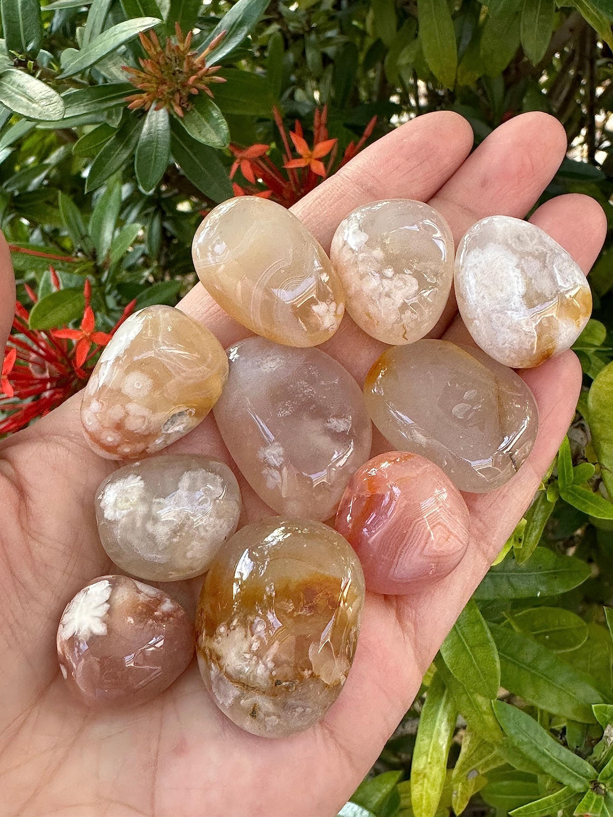 Wholesale Polished Flower Agate Tumbled Stones (0.25 Pound)