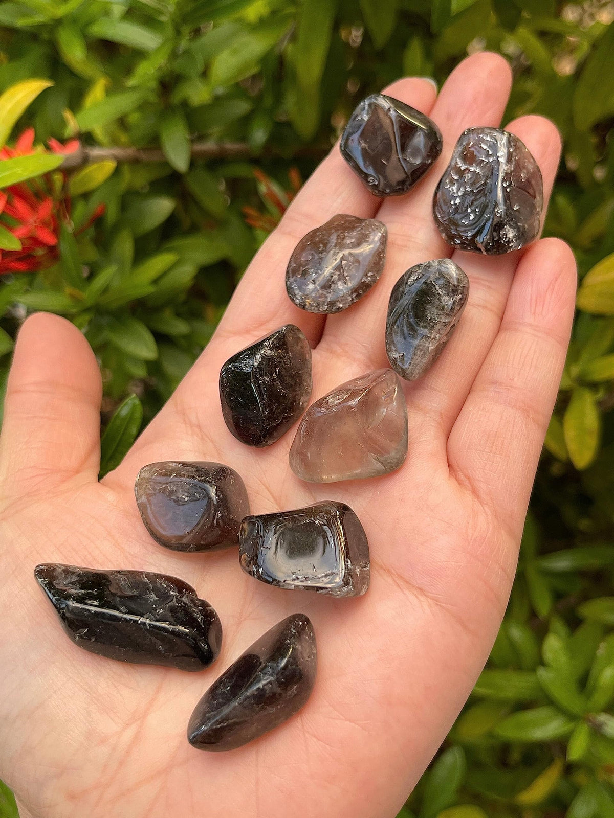 GAF TREASURES 5 Pcs Smoky Quartz Tumbled Stones, Polished Smoky Quartz Gemstone, Smoky Quartz Healing Crystals (Smoky Quartz)