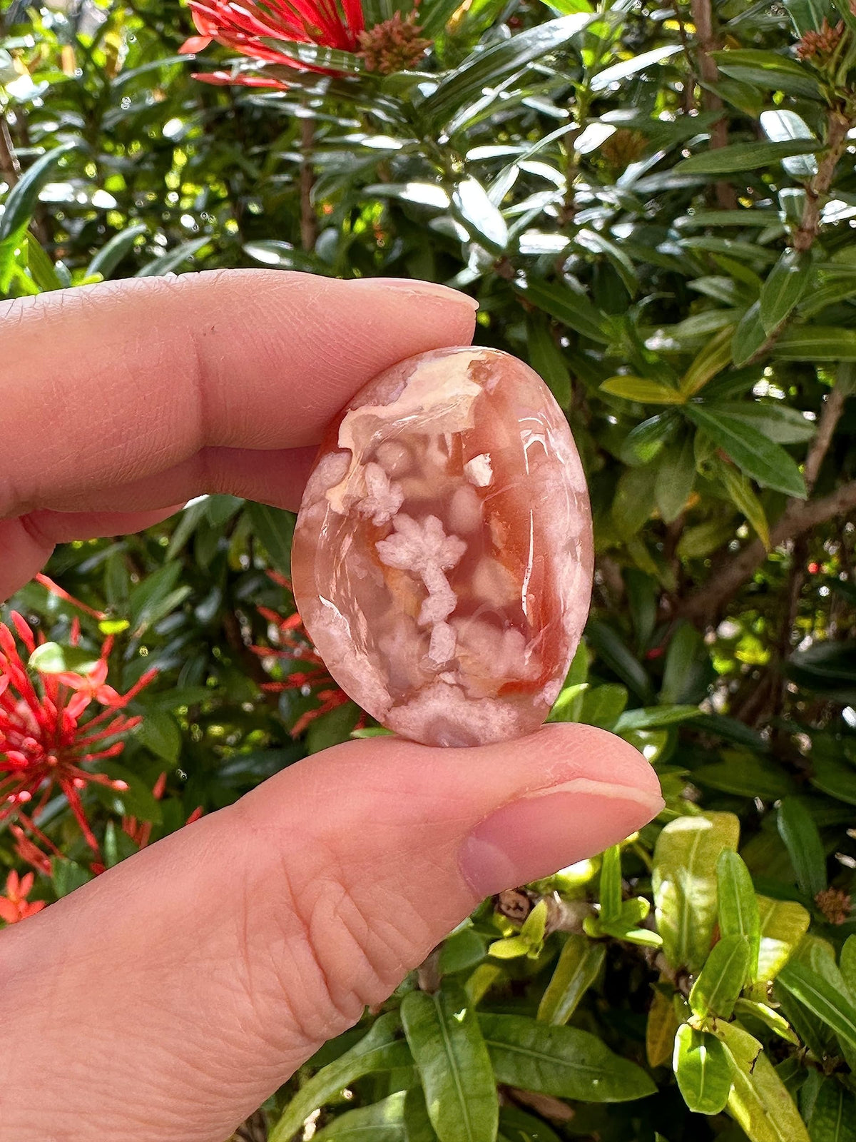 Wholesale Polished Flower Agate Tumbled Stones (0.25 Pound)