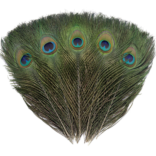 60 PCS Real Natural Peacock Eye Feathers 10-12 inch for DIY Craft, Wedding and Holiday Decorations